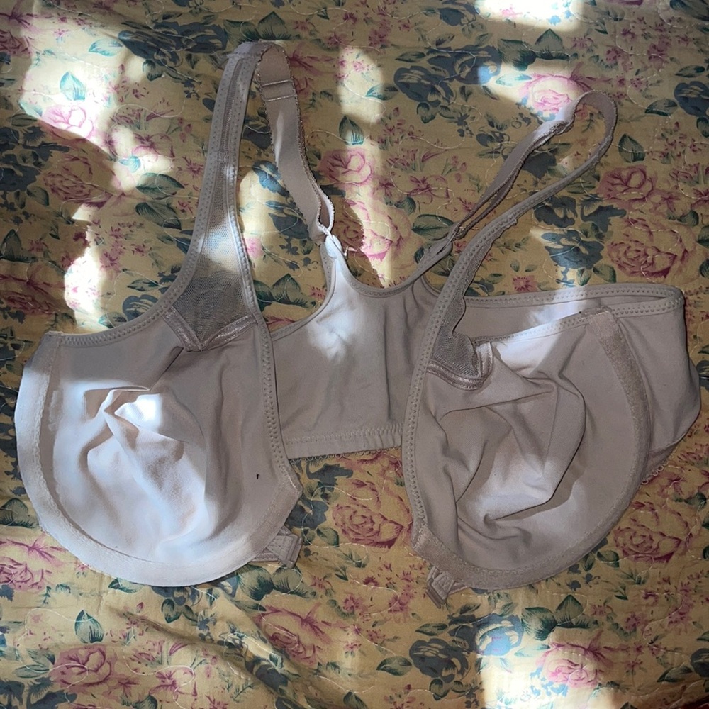 36C wacoal beige bra
